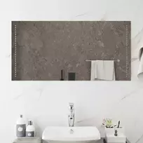 LED vonios veidrodis Skaidrus 100 x 50 cm grūdintas stiklas