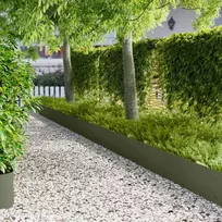 Vejo kraštas 20 pcs 103 x 30 cm Plienas Alyvuogių žalia