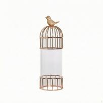Glass Vase with Metal Frame Tone Cylinder Cage Elegant Vessel for Interior