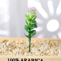 Fleshy Simulated Succulent Green Plant Flower Head