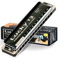 East Top Blues Harmonica in for Jazz and Study and Brass Canvas Lucky13 Harmonica, 13-Hole C, Professionals, Adults, Children, Practice, Cover, Case,