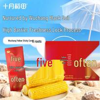 Shiyue Daotian Wuchang Yellow Waxy Corn