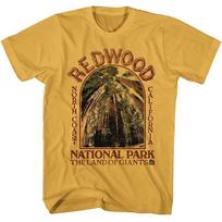 National Parks Adult T Shirt REDWOOD LAND OF GIANTS Ginger Cotton SM 2XL XL