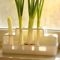 Plastic Hydroponic Vegetable Box Repeated Growth Soil-Free Growing Seedling Tray Hydroponic Planter Ventilated Cultivation Pot balta