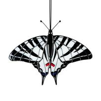 Butterfly Suncatcher, Colorful Acrylic Window Decor, Mother's Day Gift one size