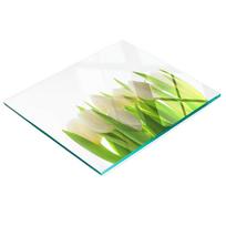 Decorative Kitchen Glass Cutting Board Tulips 60X52 Cm