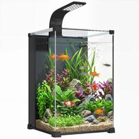 Aquarium Complete Set 36L Nano Aquarium with LED Lighting Filter System Pump Circulation 30 x 30 x 45.5 cm Black 30 x 30 x 45.5 cm juoda