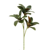 75cm Dirbtinis Magnolijos Lapų Augalas Didelis Tikro Kosmio Imituotas Magnolijos Medžio Šakojos Gyvas Rankų Darbo Netikras Magnolijos Augalas žalia