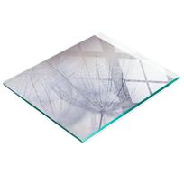 Decorative Glass Cutting and Serving Board Dandelion Seeds 60X52 Cm