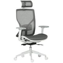 Ergonominė kėdė, reguliuojamas aukštis, 120 kg, 1 vnt