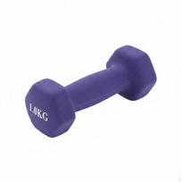 Cast Iron Dumbbell Floor Friendly Hex Hand Weight for Beginners, Women, Home Workout, Gym