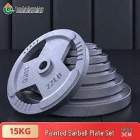 Painted Cast Iron Barbell Weight Plate
