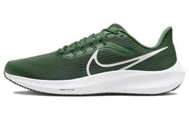 Nike Air Zoom Pegasus 39 Tb Gorge Green DM0164-300 44.5
