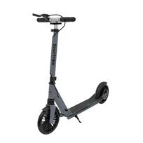 SPORTRIKE Silver motoroleris