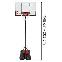 Krepšinio kamuolys 205cm + priedai