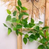 Artificial Rattan Pothos Vine Leaves: Decorative Green Plastic Foliage for Water Pipe and Air Conditioner Covers