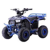 Benzininis keturratis 110CC EXPLORER, Blue