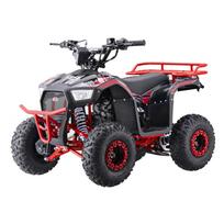 Benzininis keturratis 110CC EXPLORER, Red