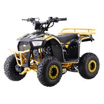 Benzininis keturratis 110CC EXPLORER, Yellow