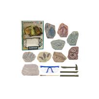 Paleontologinių kasinėjimų rinkinys Gipso blokai įrankiai