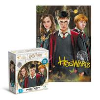 Edukacinė dėlionė Medium-S Harry Potter Harry and friends 250 pcs