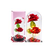 Amžinosios 2 rožės kupole su LED apšvietimu ir rožių žiedlapiais Raudona 21x11cm