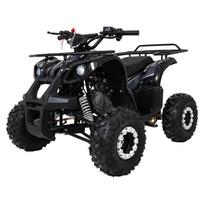 Variklinis keturratis motociklas „WILDPEAK“ 110 cm³, juodos spalvos
