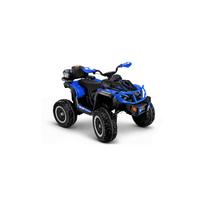 Elektrinis keturratis XW-08 4x4 45 W, Blue