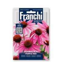 Rudbekija PURPLE RED