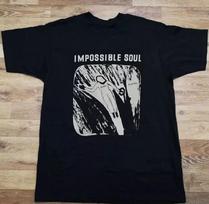 Sufjan Stevens Impossible Soul Gift For Fans T Shirt Full Size S-5XL SS329 S