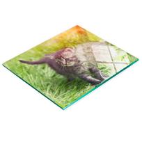 Glass Kitchen Serving Board With Kitten Dandelion Graphic 60X52 Cm