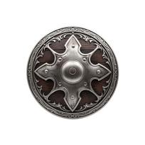 Halloween Shield Prop for Costume Party and Theme Decor One Size