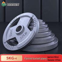 Solid Cast Iron Barbell Weight Plates