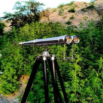 Brass Binocular Telescope on Wooden Tripod, Nautical Maritime Decor, Fully Functional Spyglass