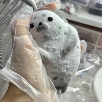 Kids  Childrens Kawaii Flocked Seal Squishy Toy Slow Rising Soft Pinching Squeeze Toy Anti-Stress Sensory Fidget Toy for Adults Gift Present pilka