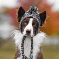 Warm Dog Hat for French Bulldog Chihuahua Puppy Costume Pet Accessories S