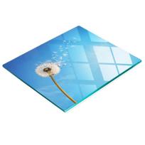 Kitchen Multifunctional Decorative Board Tempered Glass Dandelion 60X52 Cm