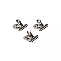 Magnetiniai užrašų segikliai 4x4,3 cm, 3 vnt