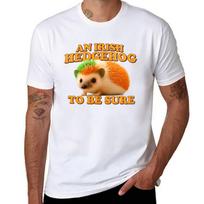 An Irish Hedgehog To Be Sure Tshirt Kawaii Clothes Street Wear Vintage Summer Shirt Luxury Clothes Unisex S