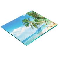 Tempered Multifunctional Decorative Glass Board Beach Palms 60X52 Cm