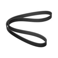 Drive Belt for Nissan Maxima 2009-2014 Murano 2008-2014 11720JA10B