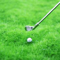 1 1 rinkinys:12 Lėlių namelio miniatiūrinis lauko golfas su kamuoliuku lėlėms sodo žaislai
