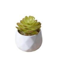 Artificial Succulent Plants Simulation Bonsai Flower With Pot Potted Landscape for Home Party Table Ornaments