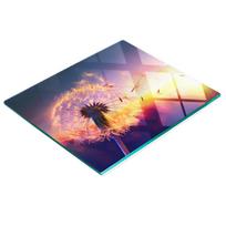 Decorative Glass Kitchen Cutting Board With Dandelion Graphic 60X52 Cm