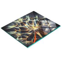 Tempered Glass Kitchen Backsplash With Decorative Dandelion Graphic 60X52 Cm