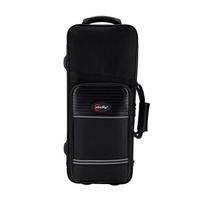 Alto Saxophone Portable Case