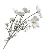Artificial Cosmos Bipinnatus Realistic Fake Galsang Flower Stem Home Office Wedding Party Faux Bloom Table Centerpiece Decoration balta