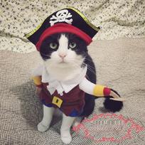 Universal Pirate Costume for Dogs - Cute Two-Legged Pet Outfit Large