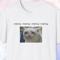 Meow Meow Meow Meow Sad Song Shirt, Sad Cat Shirt, Gift for Cat Owner, Crazy Cat Lady Shirt, Cute Cat Print, Funny Cat Tshirt, Cat Gift XL