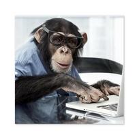 Fun Monkeys Work Seriously on Canvas Painting Modern Animal Posters and Prints Wall Art Images for Living Room Home Decoration 20x20cm No Framed